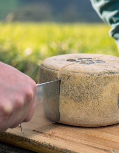 Les Pépites Basques - Kalici Photographie (371)
